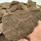 هندي جار ويسمى تشار نجلاند