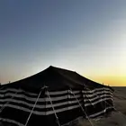 بيت شعر جديد