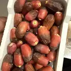 رطب حلوة خيبر