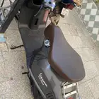 دباب فزبا الإيطالي العجيب