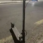 للبيع سكوتر