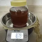 عسل حر للبيع