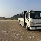 دينا الدمام