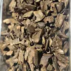 عود كينامي باقل سعر ((نفذة الكميه))