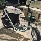 دباب امبرتا