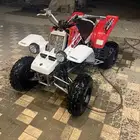 دباب بانشي 2005 فيابر 2009