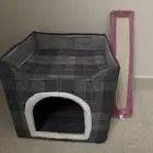 بيت قطط