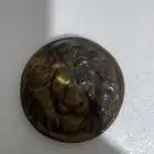 عين نمر