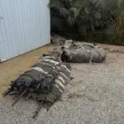بيت شعر ألماني