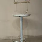 ستاند ببغاء (طيور)