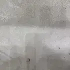 مطلوب محلين للإيجار بجوار صناعية ام الحمام علي بن علي