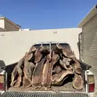 حطب مستورد شلايخ كفوو يابس على الشرط