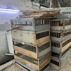 اقفاص نقل حمام