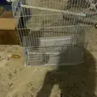 شبك اقفاص طيور