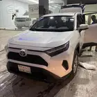 راف فور هايبرد