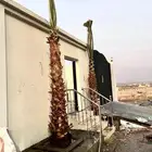 زراعه وحدائق