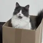 لتبني مع بعض