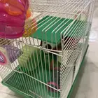 للبيع قفص هامستر مع العابه