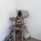 اغراض قطط