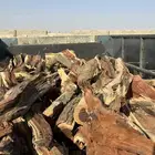 ح ط ب المدينه