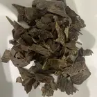 عود تراد