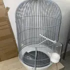 قفص