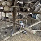 حمام تركي