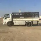 دينا مشاوير