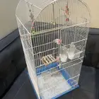 قفص طيور حجم كبير