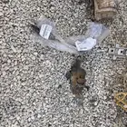 بلنص دعسة بنزين هايلوكس