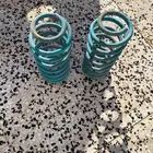 يايات دبنسون