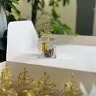 توزيعات العيد