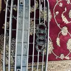 شبك اودي A8 2015