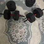 دنبل