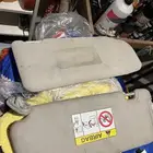 شماسيات
