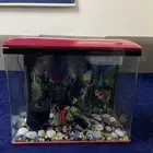 حوض سمك مع كامل اغراضه