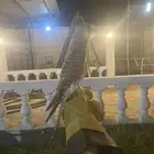 شبوط