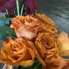 مطلوب شقه للإيجار