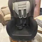 كارسيت