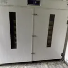 فقاسه تماتيك