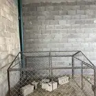 شبك