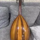 عود مصري