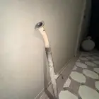 ماصوره شكمان هايلوكس