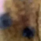 موصل من الحصينيه المشعليه لنجران