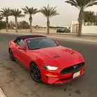 موستنق كشف 2018 - بريميوم ايكوبوست