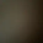 احتاج احد يسجلني في التأمينات اسبوع التحويل بعد التسجيل