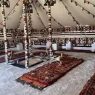 تجهيز مخيمات بيوت شعر خيام