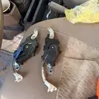 سنتر لوك لربع والشاص