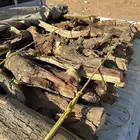 هايلقس غمرتين صندوق سمر شرط