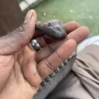 حجر كريم